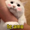 Reações variadas 😂 12