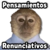 COMBO de Stickers #21 🎖️ 14