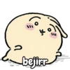 bejirr