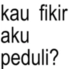 ANOMALI 13