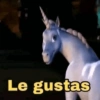Le gustas