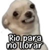 Rio para no llorar