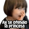 Ay se ofendio la princesa