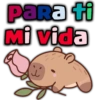 Parati Mi vida geysioy