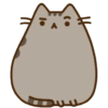 Gatinho fofo 7