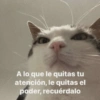 💬Gatos con Frases 🪂💬 9