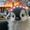 Pingüino cute🐧 11