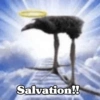🧿 Kiwi meme Damn🦩🥝 16
