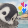 Pingüino cute🐧 9