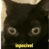 inpocivel