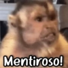 Mentiroso!