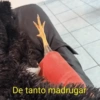 Memes Sin Sentido 3🥴🫧  8