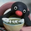 Pingu. | @ocenferios  Haki. 10