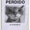 PERDIDO en tu mirada <3