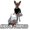 Perritos 17