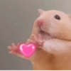 Hámsters Útiles🐹✨ 10