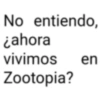 No entiendo, ¿ahora vivimos en Zootopia?