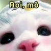 ➳ gato ⊱😽⊱╮
bit.ly/angels-69 13