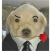 🍷🗿 MEMES ELEGANTES 🗿🍷 6