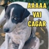 PATADAS COM DEBOCHE 😠😤 8