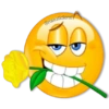 Flores Amarillas🌻🌻 12