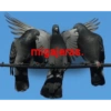 👉 PARA LA MIGAJERA 🕊️ 12