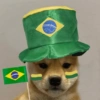 Independência do Brasil 9