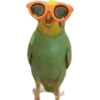 Calopsita fofas 23