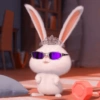Bunny kelinci 12