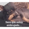 Será que estoy embrujado...