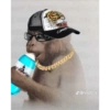 Monos 9