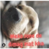 Meko sone de dimag mat kha