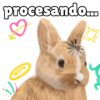 procesando...