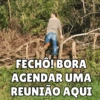Minhas figurinhas 7