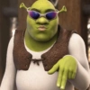 🏰🟢 SHREK MOODS 🟢🏰 17