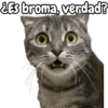 ¿Es broma, verdad?