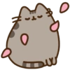 Gatinho fofo 15
