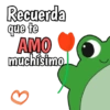 Amor para tí 💗 17