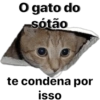 Gatos 9