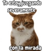 Te estoy juzgando severamente con la mirada