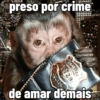 🐒 Macaco Engraçado  8