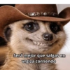 Memes 73 15