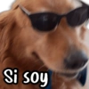 Si soy