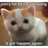Meow Memes 😾 22