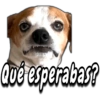 Que esperabas?