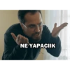 NE YAPACIIK