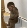 Маленькие шаги