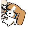 Dog. | @ocenferios  Haki. 8