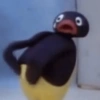 🐧 Pingu 📺 15
