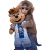 Punch Liga MX 13